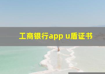 工商银行app u盾证书